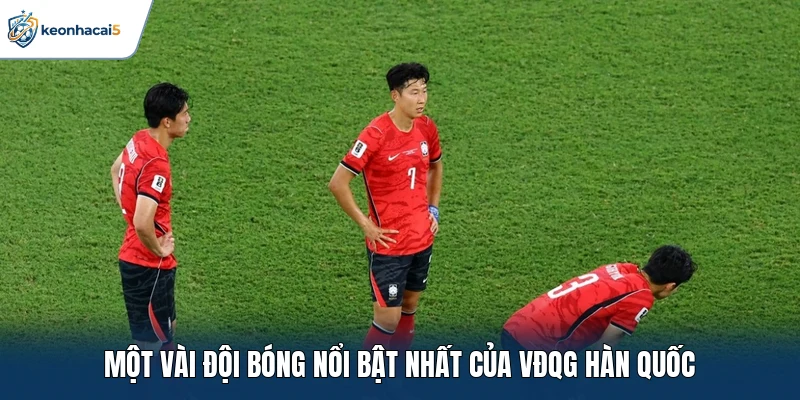 VĐQG Hàn Quốc: Cập Nhật Nhịp Đập Sân Cỏ Tại Xứ Hàn 2 Một vài đội bóng nổi bật nhất của VĐQG Hàn Quốc
